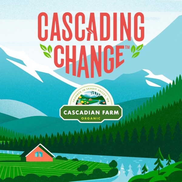 Cascadian Farm Organic Chocolate Chip Granola Bars, 10 ct, 12.3 oz - Image 2